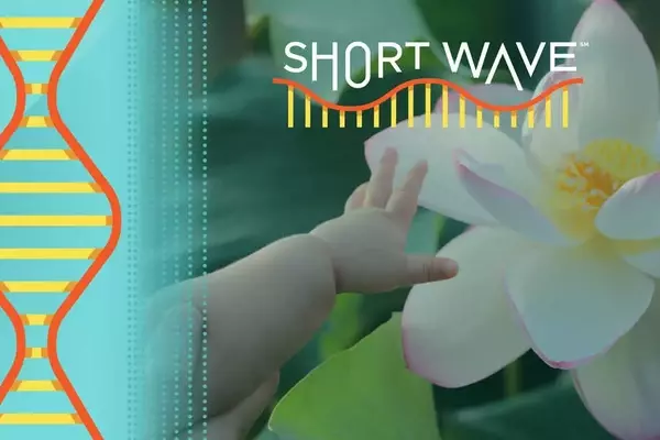 Navigating Parenthood Amidst the Climate Crisis: Insights from Experts