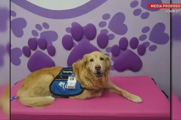 Brayden's Legacy: A Mission to Reunite Hospitalized Children with Their Beloved Pets