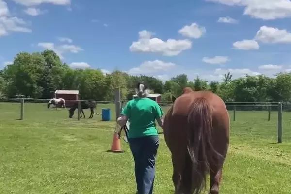 Empowering Young Hearts: A Unique Equestrian Initiative in Michigan