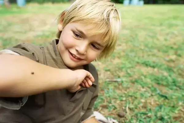 Escalating Tick Bite Incidents Raise Public Health Concerns, CDC Reports