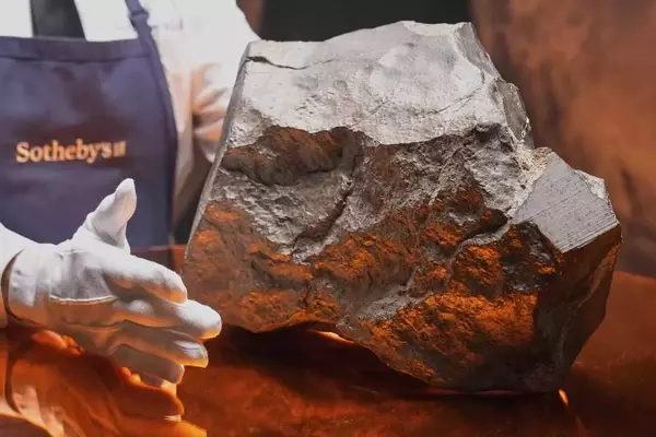 A Martian Meteorite's Journey to Auction