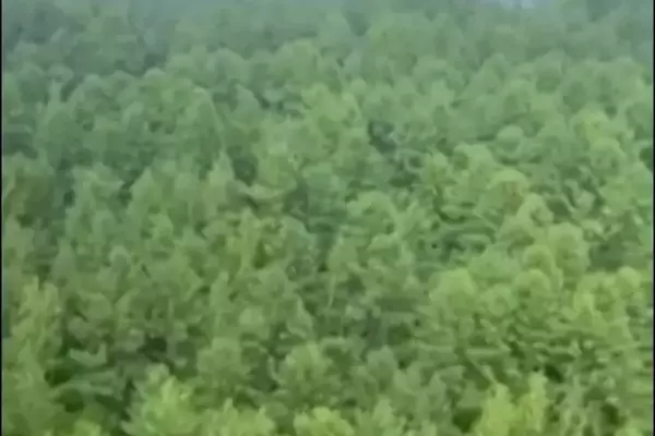 Russian Aircraft Goes Down in Far East