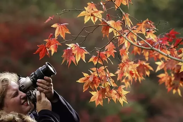 World Photography Day: Share Your Story Through Images
