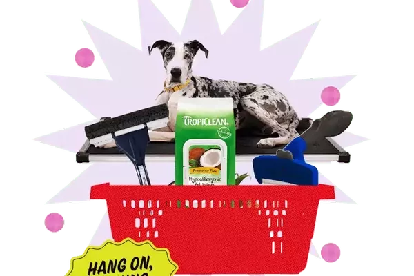 Maintain a Hair-Free Home with Pet-Friendly Products