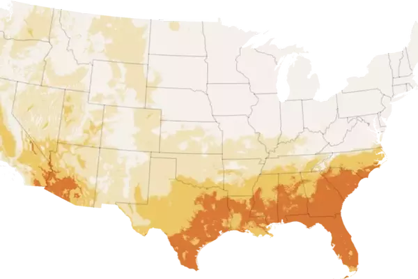 California's Unusually Cool Summer: A Climatic Anomaly Affecting the Golden State