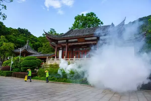 China's Aggressive Stance Against Chikungunya Outbreak: A Detailed Look