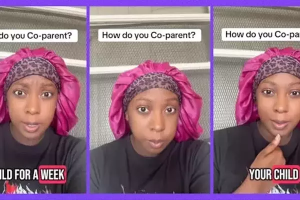Co-parenting Challenges: A Father's Supply Complaint and a Mother's Insightful Reply