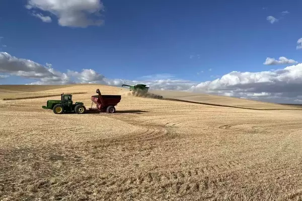 US Wheat Farmers Grapple with Trade Uncertainties Amid Tariff Landscape