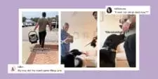 Golden Retriever's Viral 'Side-Eye' Highlights Pet Empathy Towards Crying Babies
