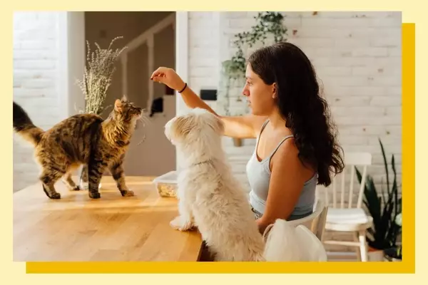 The 'Cat vs. Dog' Parenting Approach: Guiding Children Through Development