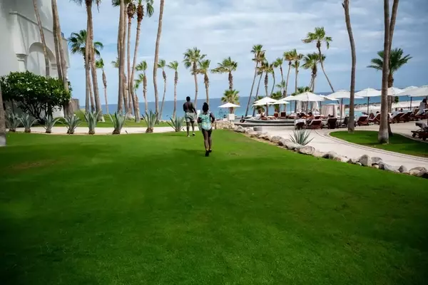 Healing Through Travel: Honoring a Loved One's Legacy in Los Cabos