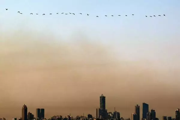 Lebanon's Escalating Cancer Crisis: Causes and Potential Solutions