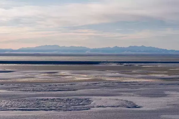 Trump Administration Greenlights Oil and Gas Drilling in Alaska's Arctic Refuge