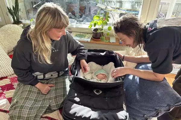 Finland's Declining Birth Rate: A Paradox of Progressive Family Policies