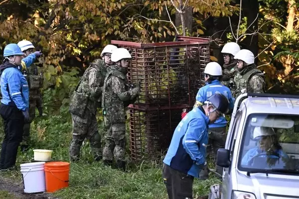 Japan Deploys Military to Combat Escalating Bear Encounters