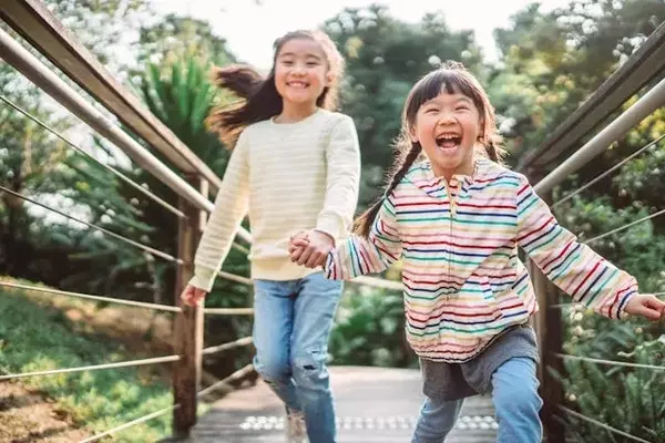 Exploring the Myth of the 'Wild' Second Child