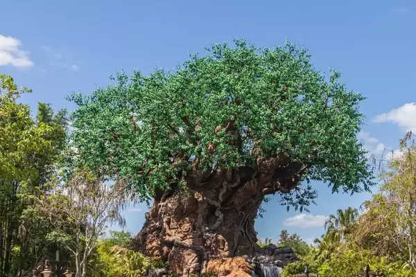 A Magical Family Journey: Discovering Unity at Disney's Animal Kingdom