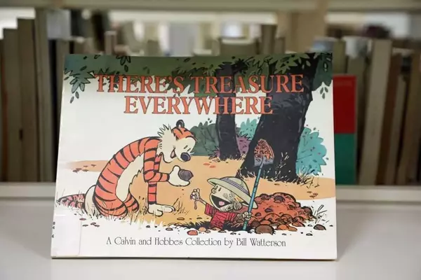 Celebrating Four Decades of Calvin and Hobbes' Enduring Legacy