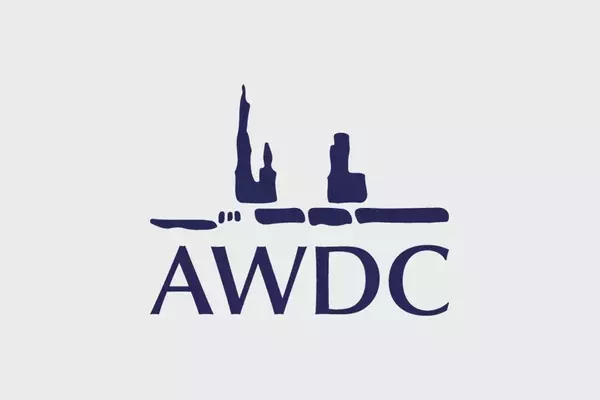 EU-India Trade Agreement: A New Era for Antwerp's Diamond Industry
