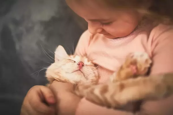 From Feline Focus to Family Harmony: A Parent's Journey with Pets and Child