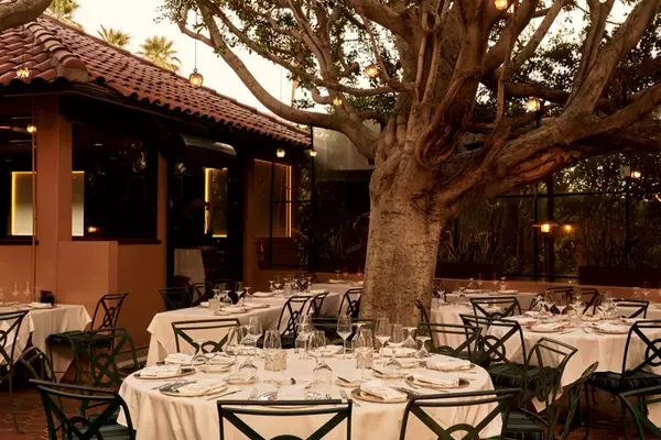 A Culinary Journey Through Palm Springs: Top Dining Destinations