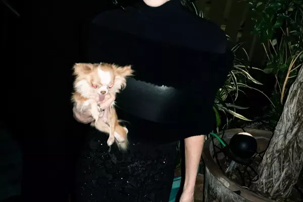 Celebrities Gather for Gucci's Post-Show Milanese Soiree