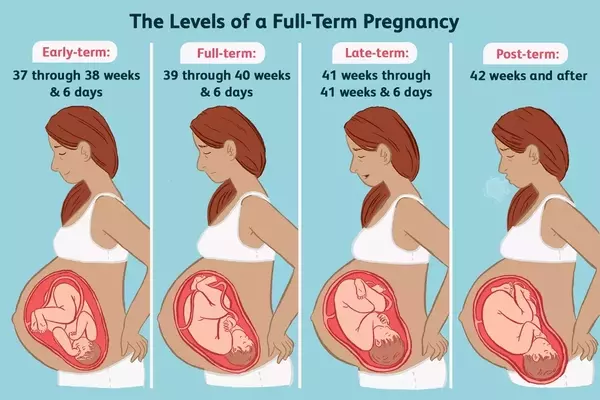 The Importance of Full-Term Pregnancy for Baby's Development