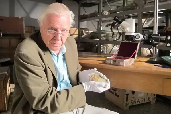 Celebrating Sir David Attenborough's Centennial: A Legacy of Nature and Conservation