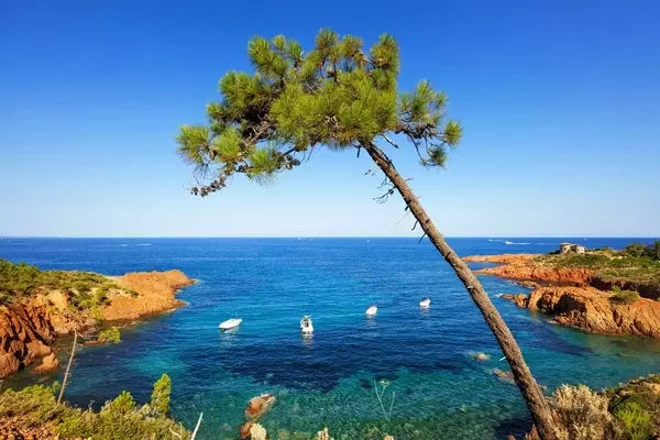 Exploring the Uncharted Beauty of the Var Coast: A Journey Beyond the Crowds