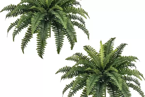 Top Picks: The Most Realistic Artificial Plants on Amazon