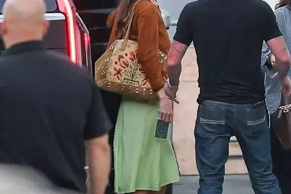 Dakota Johnson's Modern 70s Concert Style