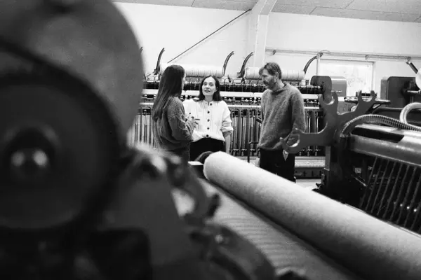 Skall Studio's Commitment to Sustainable Danish Wool Production