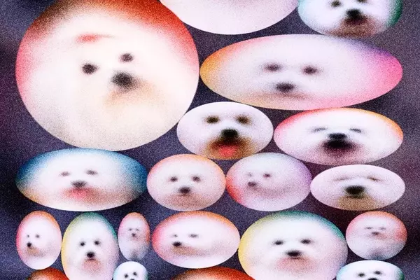 The Ethical Dilemma of Pet Cloning: Replicating Companionship