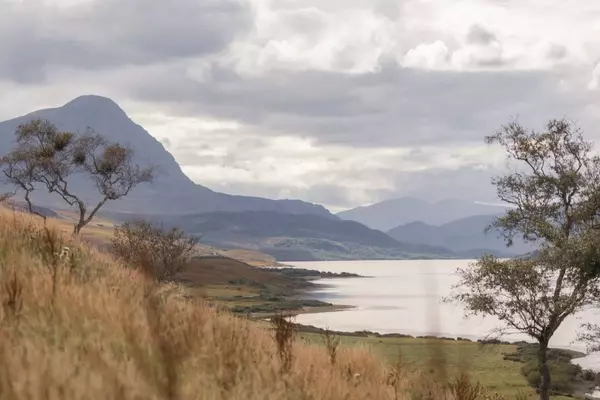 Hope Lodge: A Rewilding Retreat in the Scottish Highlands