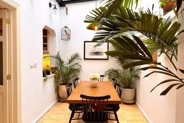 Discover Your Perfect Mexico City Airbnb: A Guide to the Best Stays
