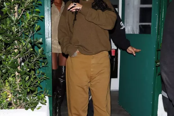 Rihanna's Autumnal Brown Ensemble for a Dinner Outing